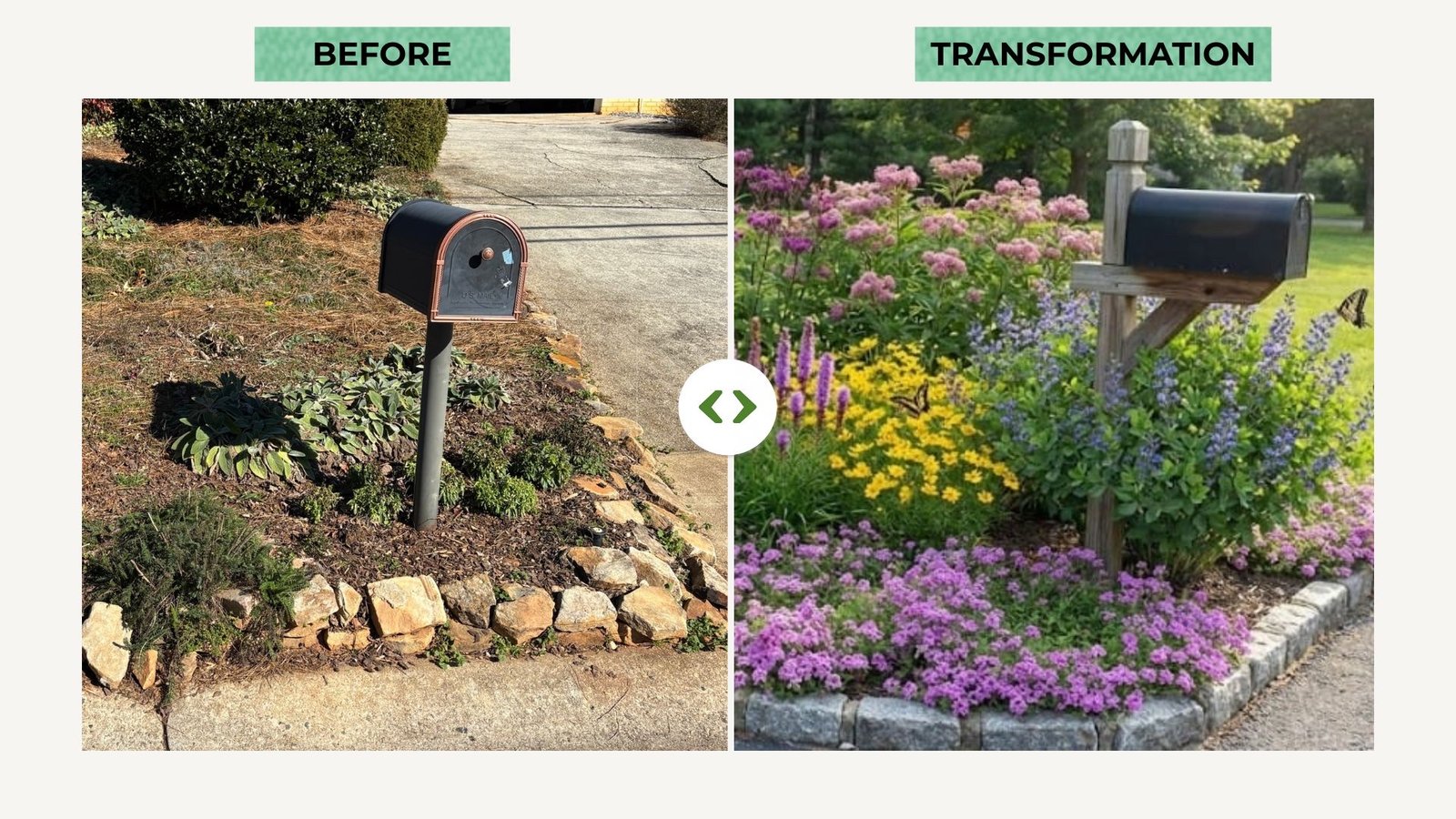 Native garden — planted beds