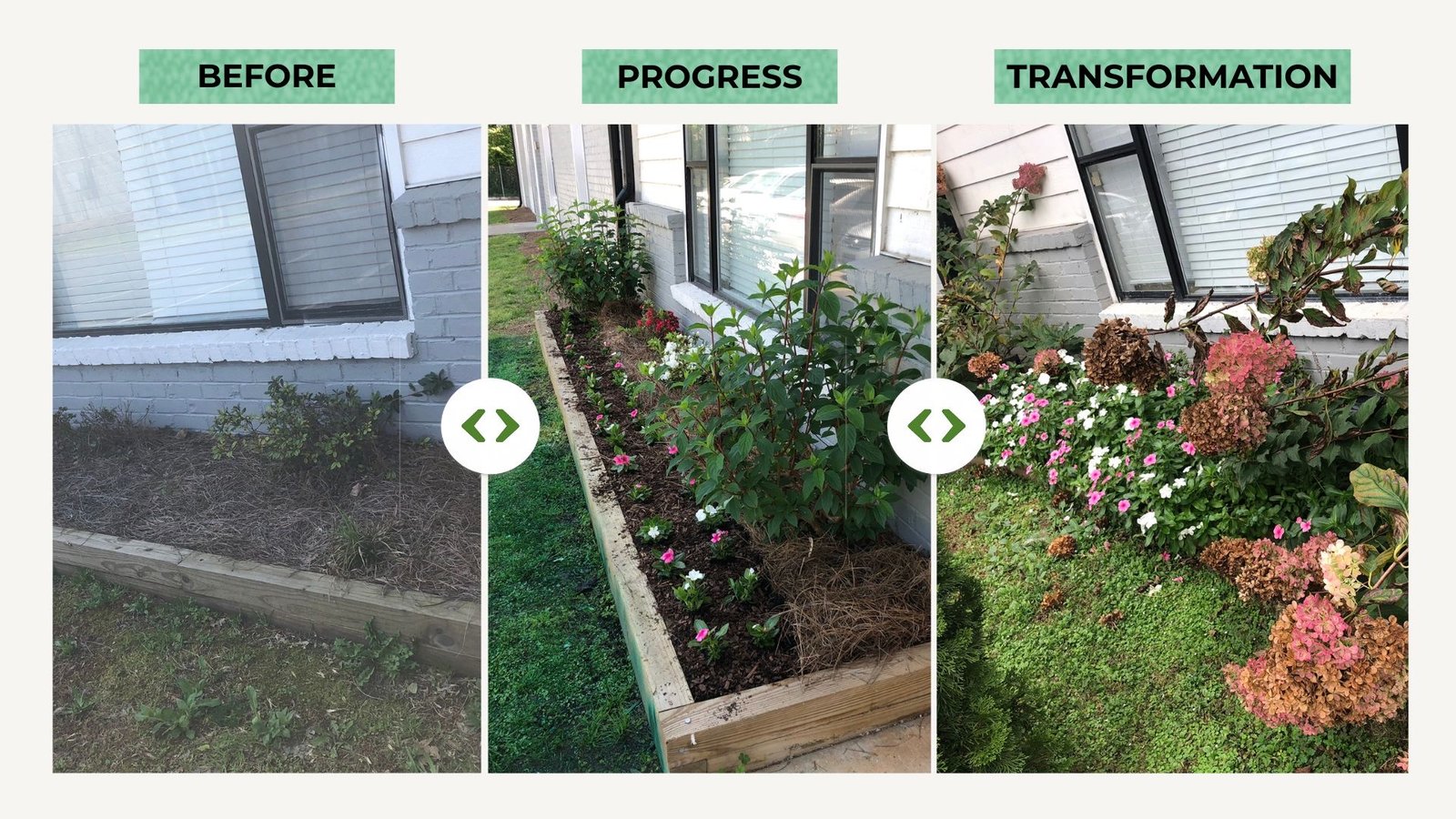 Native garden — before and transformation