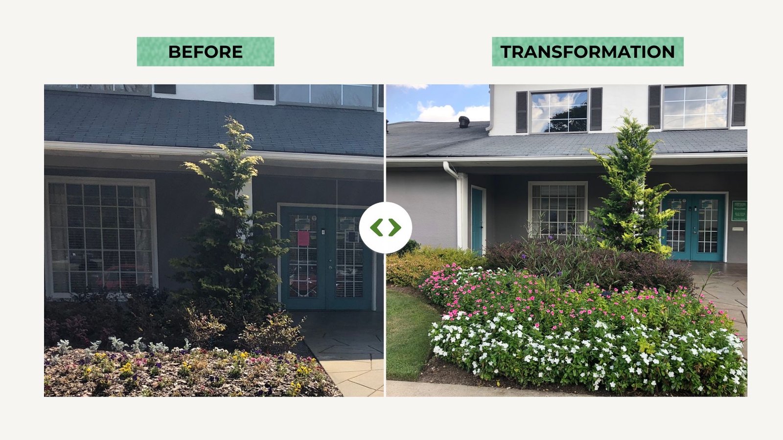 Native perennial border — before and transformation