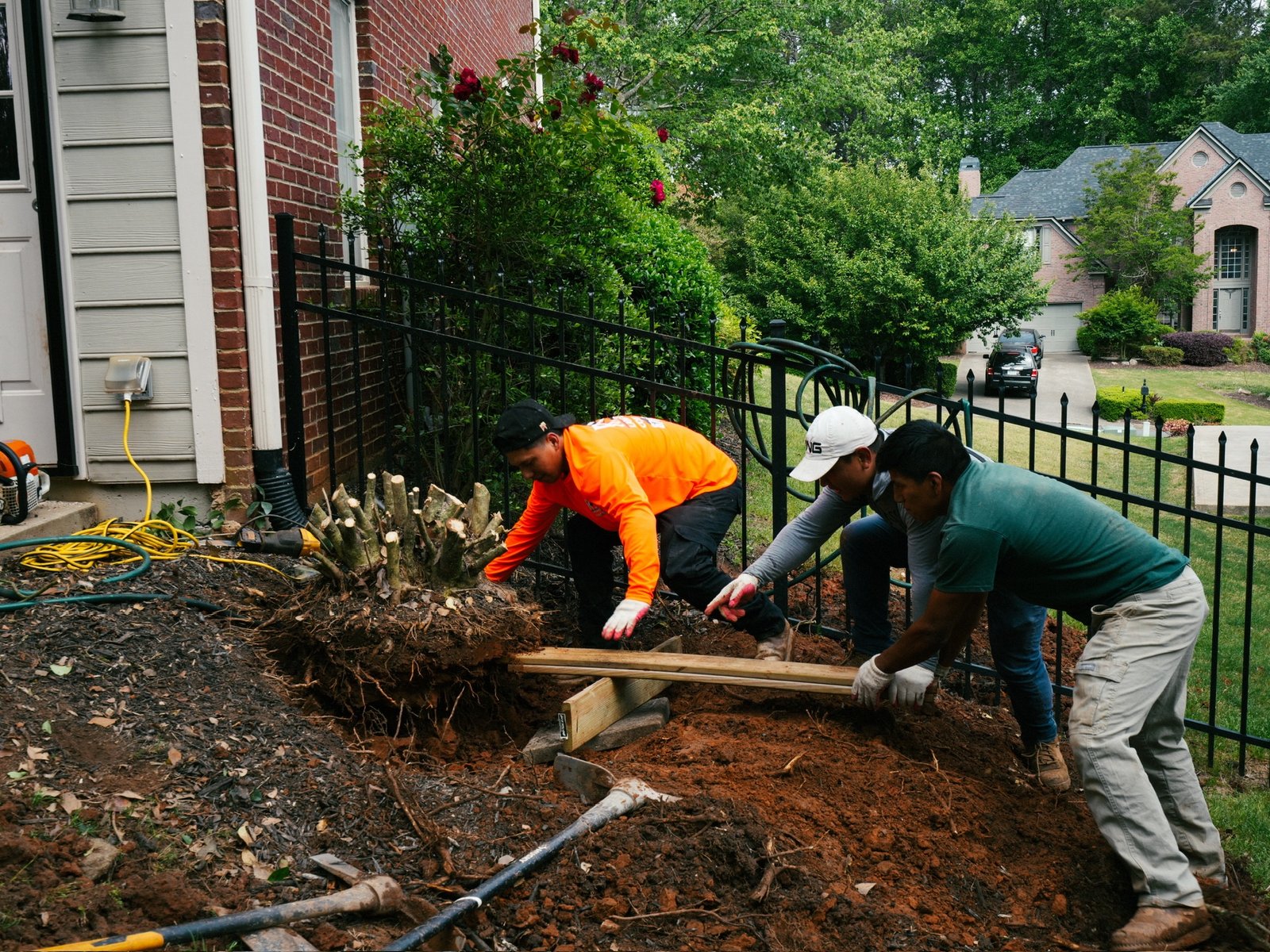 Site clearing — shrub removal
